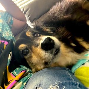 Bundle and Save! Shoot me an Offer!